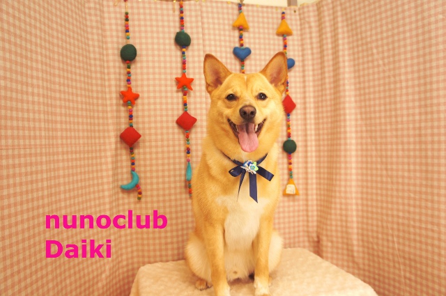 nunoclub.com トリミングサロン東京ヌーノクラブ