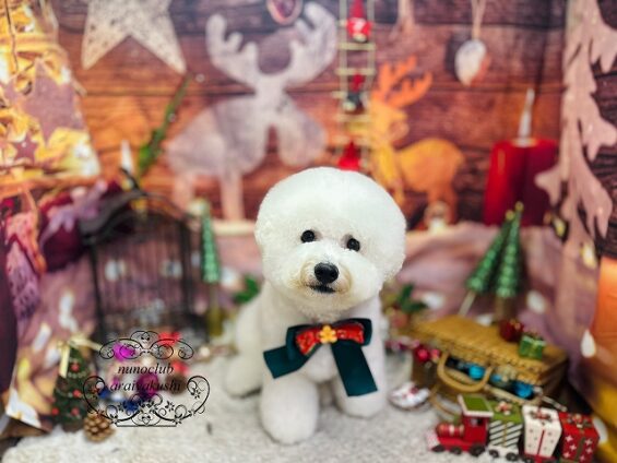 ペットサロン、ヌーノクラブ、可愛くリーズナブルにトリミング