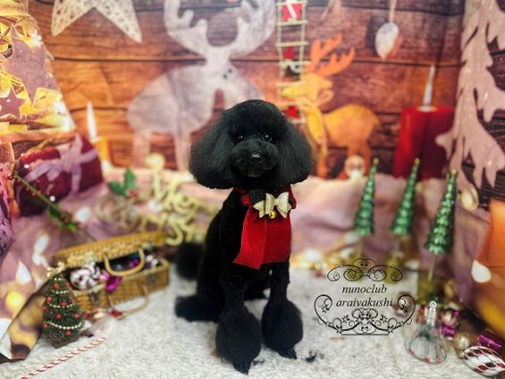 ペットサロン、ヌーノクラブ、可愛くリーズナブルにトリミング