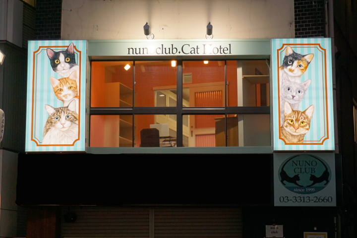 猫専用ペットホテルのヌーノクラブ高円寺店 ケージフリーで猫ちゃんも安心お泊り