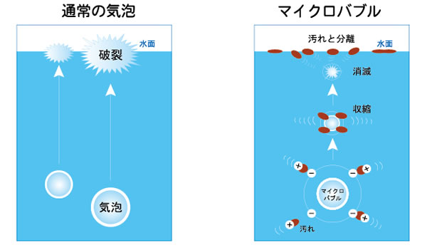 ペットサロン・トリミングサロンのヌーノクラブでご提供するマイクロバブルの説明