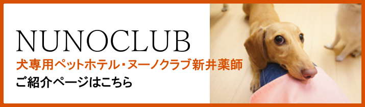 犬専用のペットホテル、ヌーノクラブ新井薬師