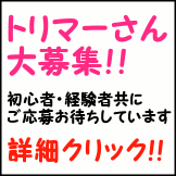 ヌーノクラブではトリマーさんを大募集中！！