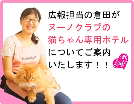 東京都内にあるヌーノクラブの猫ちゃん専用ペットホテルについて、詳しくご説明いたします。