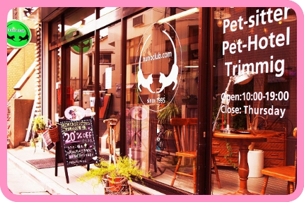 東京都内で人気の猫ちゃん専用ペットホテル、ヌーノクラブ。都心に近くてアクセスが便利なので利用者さまに好評です。