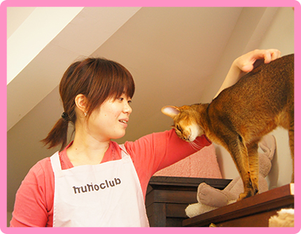 ヌーノクラブの猫ちゃん専用ペットホテルでは、スタッフがネコちゃんのお世話を丁寧に行い、馴らすことで自由空間に出してあげることが出来ます。