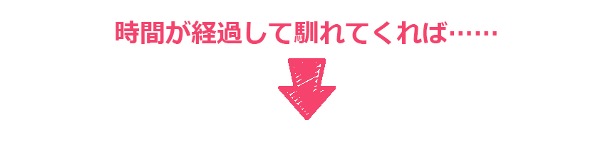 ワンちゃんがホテル滞在して馴れてくると、自由スペースに出られるようになります。