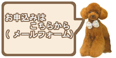 ヌーノクラブの犬・ワンちゃん専用ペットホテルへのメールでのお申込みはこちら。