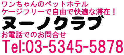 犬・ワンちゃんのペットホテル、ケージフリーで自由で快適な滞在！ヌーノクラブ Tel:03-5345-5878