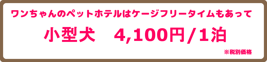 ヌーノクラブの犬・ワンちゃん専用ペットホテルは都内でも格安のお値段でご利用できます。