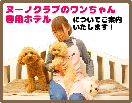 東京都内にあるヌーノクラブのワンちゃん・犬専用ペットホテルについて、詳しくご説明いたします。