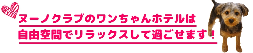 ヌーノクラブの犬・ワンちゃんペットホテルは、自遊空間でのびのびリラックスできるホテルです。