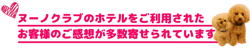 ヌーノクラブの犬・ワンちゃん専用ペットホテルをご利用されたお客様からの口コミやご感想が多数寄せられています